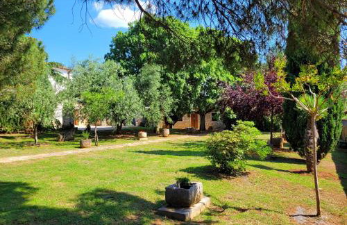 Apartments Brščić - Foto 33