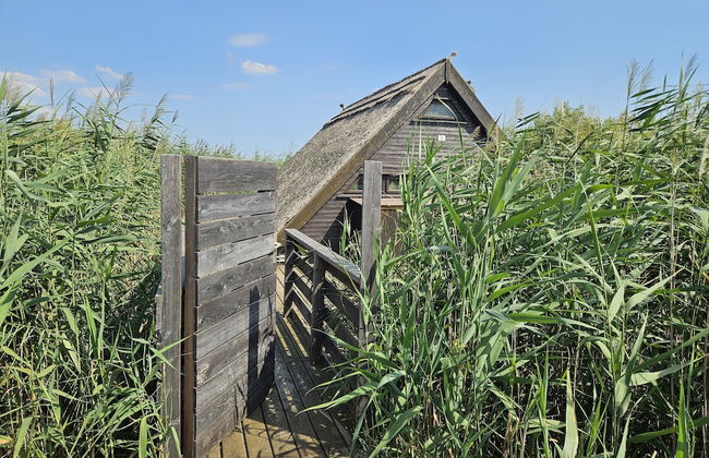 Mountains&Lakes - Romantika5 Rust - Foto 14