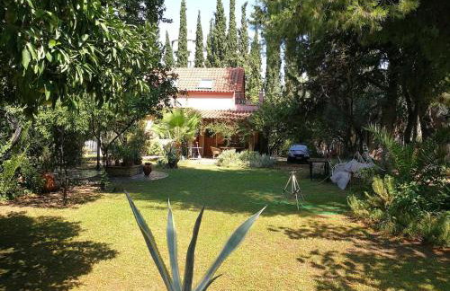 Villa with big garden - Foto 13