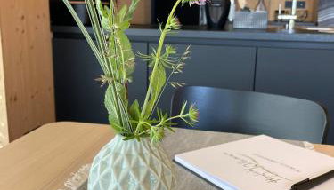 Ferienwohnung Urlaub mit Ausblick - Foto 3