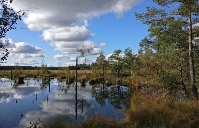 Ahlers Holiday Apartment - Foto 12