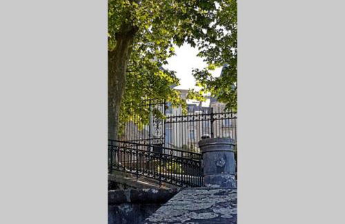 Magnolia : Superbe deux-pièces quartier du Château - Foto 14