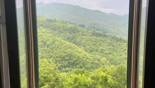 THE REAL TUSCANY - Foto 5