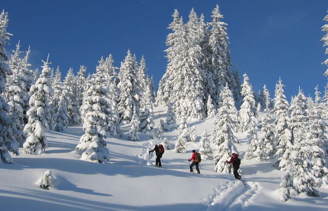 Nice Apartment in Stryia With Sauna - Foto 37