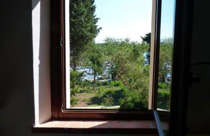 I Pesci nel golfo di Baratti - Foto 6