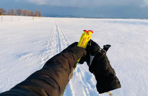 FarmHouse Eckartsberg im Zittauer Gebirge - Gemütliche und moderne Ferienwohnungen mit Terrasse - Foto 48