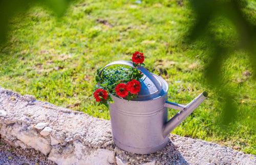 House for rent "Figurica" Lun - Photo 53