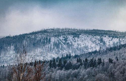 Ferienwohnung am Ilztal - Foto 31