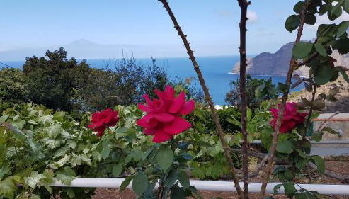 Apartamentos Casa María - Foto 3, Garden