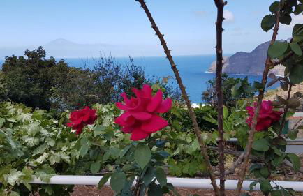 Apartamentos Casa María - Foto 3