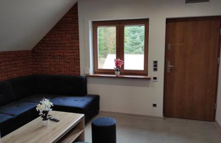 Apartamenty Klangor - Foto 28