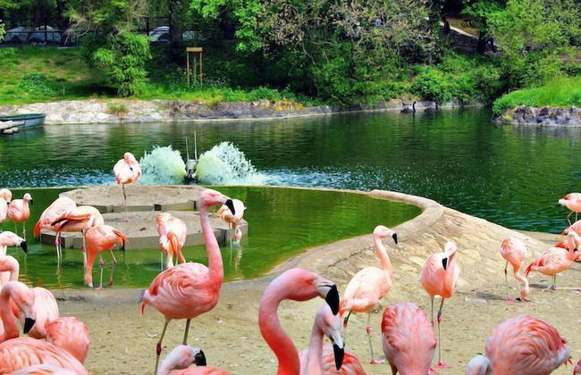 Plaisirs Nature à La Pignade - Foto 49