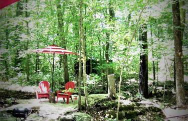 Secluded Watertree Tiny House near Old Hickory Lake – Private Deck, Trails & Breakfast - Foto 48