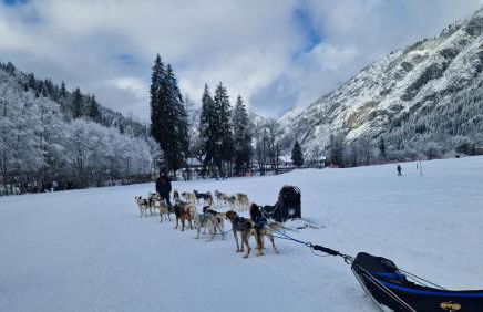 Apt A04 terrasse, village et ski à pied avec sauna, fitness et tennis - Photo 8
