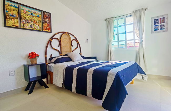 HominngBird - Foto 8