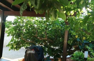 Villetta tra ulivi e mare - Foto 6