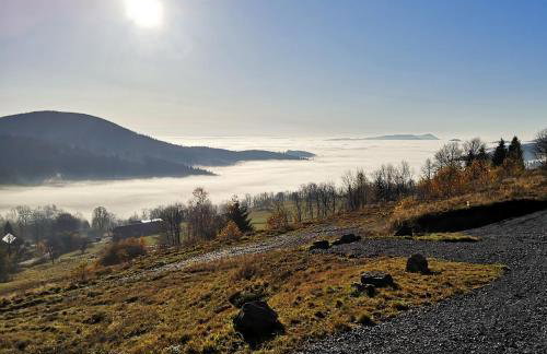 Orle Gniazdo - Foto 53