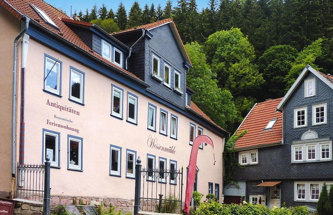 Ferienwohnung, Friedrichroda - Foto 12