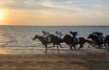 Casa Miguel - Apartamento 4 - Foto 28
