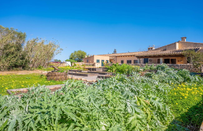 Agroturismo Mondragó (Antic Na Martina) - Photo 10