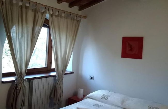 Fattoria Lischeto - Foto 13