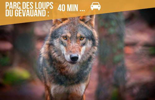 Le GoldenLeaf - Netflix/Wi-Fi Fibre - Séjour Lozère - Foto 41