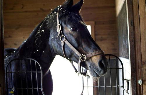 Dunover Farm. One bedroom apartment. - Foto 3