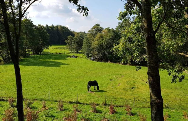 4 Person Holiday Home in Ansager-by Traum - Foto 22