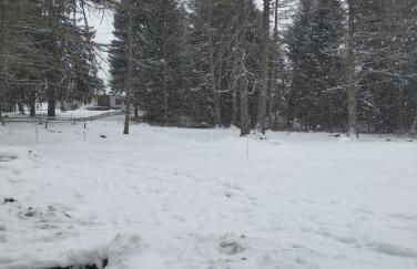 Bellamonte Villa Larici primo piano - Foto 23