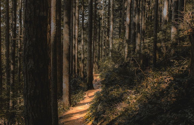 Gateway Inn - Photo 20