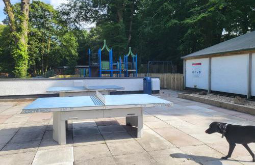 Bumbeldink - Foto 40