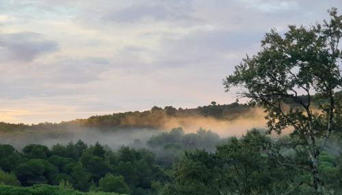 Charmant Studio proche Lac et Forêt - Photo 4