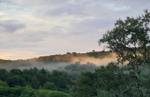 Charmant Studio proche Lac et Forêt - Photo 4