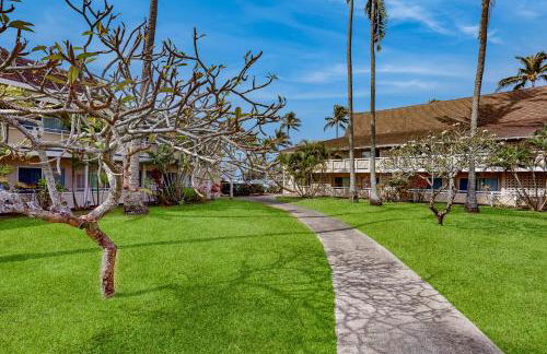 Plantation Hale H12 - Foto 12