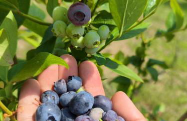 Il Torrione del Trebbia - Foto 37