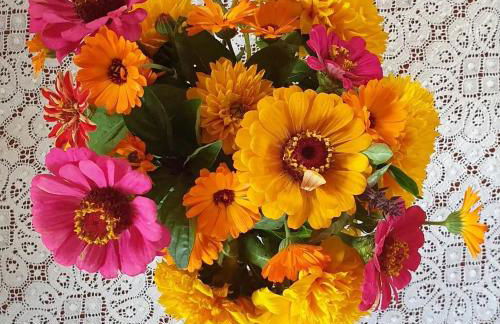 Agriturismo l'Eremo - Foto 16