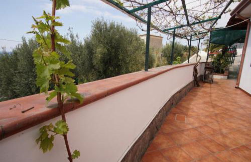 Residence San Salvatore - Foto 44