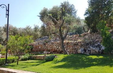 Tenuta Serra Peccatori - Foto 12