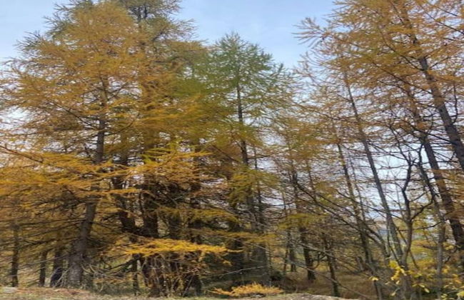 Enticing Holiday Home in Viroinval near Forest - Foto 40