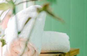 Fazenda Santa Rita Mogi - Foto 46