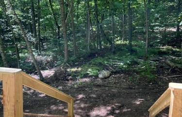 Cabin in Maine Woods-The Bogey - Foto 3