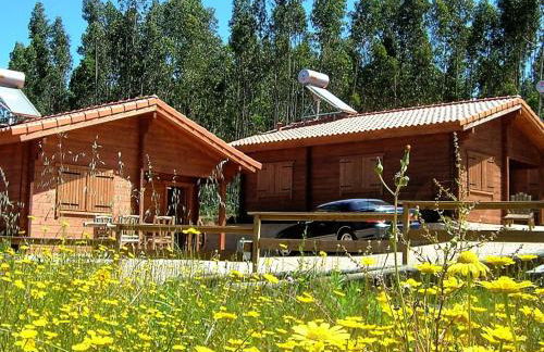 Cozy studio in Figueiró dos Vinhos 56 m² with shared pool - Foto 6