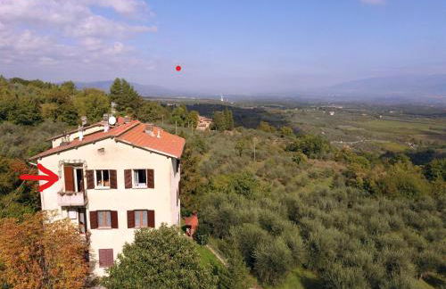 La Casa Viola - Foto 16