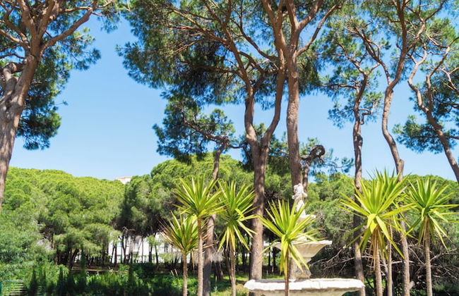 1 Line Beachfront Apartment With Stunning sea View - Foto 11