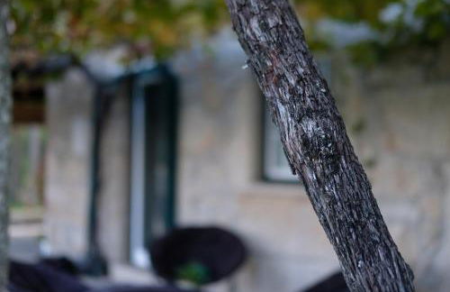 Casa Velha - Foto 20