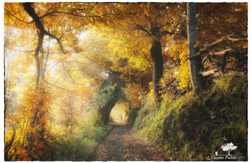 Casa Turismo Rural O FILANDÓN - Photo 19