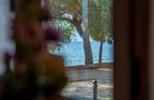 Acqua Chiara Beachfront Home - Foto 30