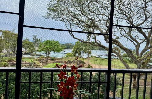 Ocean view Mauna Loa Shores Kai Ekahi #201 next to Carlsmith Beach Park Hilo HI - Photo 3