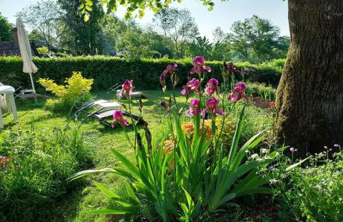 Cottage in Auvergne near Puy Mary - Foto 34