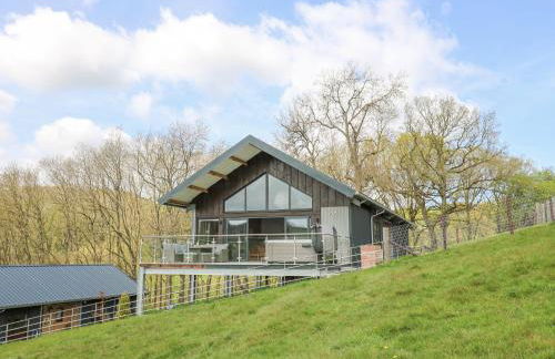 Barcud Coch - Red Kite - Photo 38